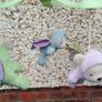 Fisher Price Butterfly Dreams 3-in-1 (used). Image 9