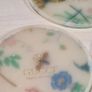 Vintage GUCCI coasters flora and fauna acrylic set of 4 Genuine Rare Image 5