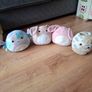Squishmallow teddys Image 2