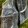 decoys Image 4