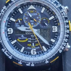 citizen promaster blue angels