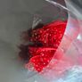 Ribbons Image 5