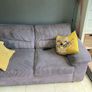 2 seater grey couch Image 2