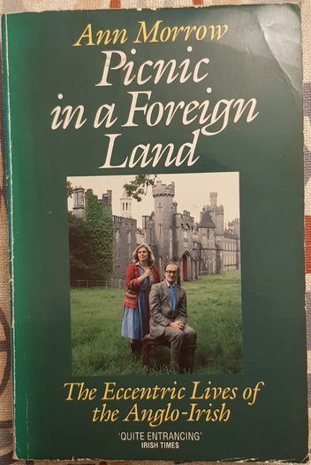 Picnic In A Foreign Land: The Eccentric Lives Of The Anglo-Irish by Ann Morrow