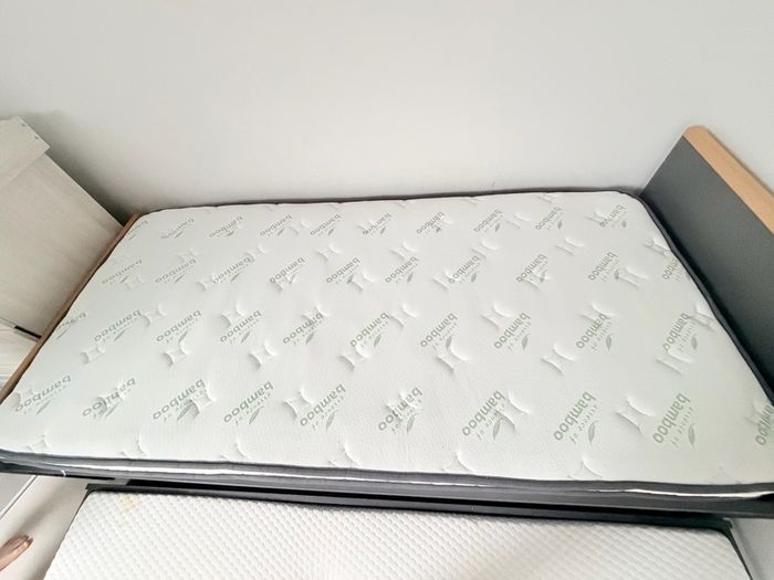 Trundle bed for sale