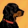 Digital Pet Portraits from your photographs! Image 6