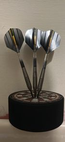 23g Mark Webster  Darts