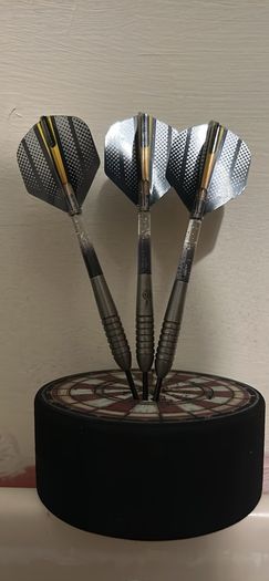 23g Mark Webster  Darts