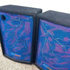 pair of prosound DJ / PA Speakers