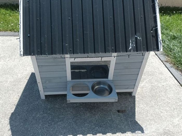 Dog house