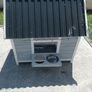 Dog house Image 4