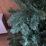 Christmas tree Image 4