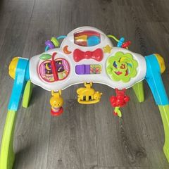baby playmat toy