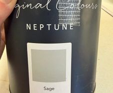 Neptune Paint - Sage 2.5L Eggshell
