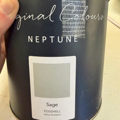 Neptune Paint - Sage 2.5L Eggshell
