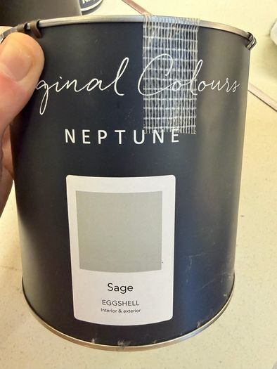 Neptune Paint - Sage 2.5L Eggshell