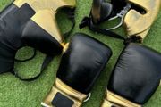 Boxing Sparring-kit