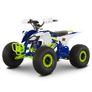 Dazzle Off-Road Pro 60v 1800w Junior/Adult Electric Quad Bike Image 2