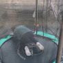 Trampoline Image 3