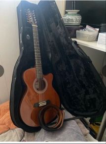 12 string Guitar