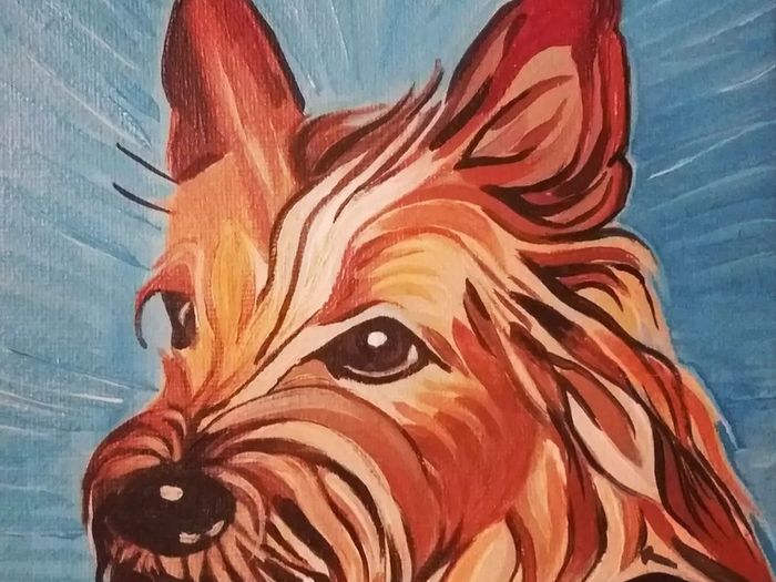 Pet Portraits