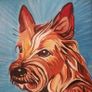 Pet Portraits Image 6