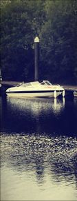 Campion A16, Evinrude E-Tec 90HP Outboard