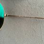 Rayban polarised Aviator sun glasses Image 5