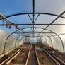 Polytunnel Image 8