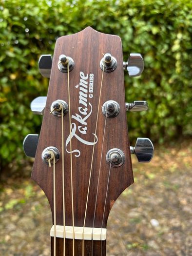 Takamine G320-NS