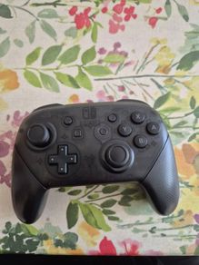 Switch Pro Controller