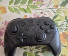 Switch Pro Controller