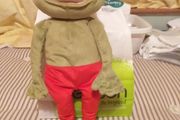 Freddie the Frog.