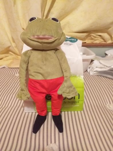 Freddie the Frog.