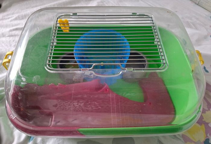 small hamster cage
