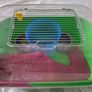 small hamster cage Image 2