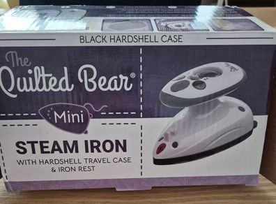 Mini Steam Iron