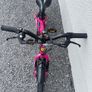 Frog bike 44 Image 2