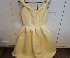 ladies dress