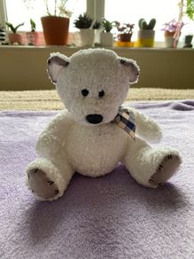 Adorable White Teddy Bear with Cream and Blue Plaid Bow