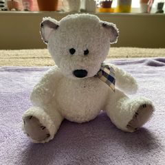 Adorable White Teddy Bear with Cream and Blue Plaid Bow