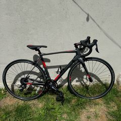 Carrera Virago