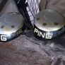 ping zing karsten woods Image 6