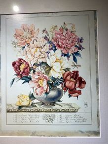 This is a vintage botanical art print titled "Peony" framed and glazed,