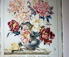 This is a vintage botanical art print titled "Peony" framed and glazed,