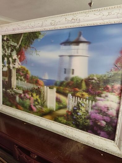 3 D pictures