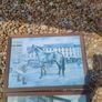 horse prints Image 5