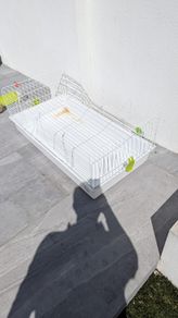 Rabbit Cage