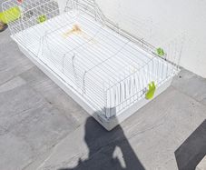 Rabbit Cage
