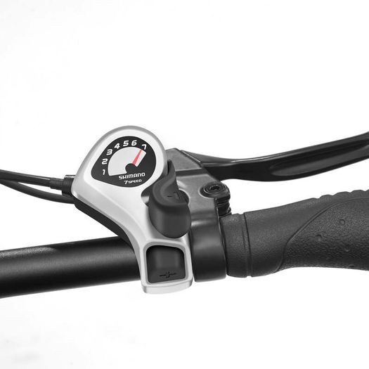 TOUROLL S2 Folding Fat Tire Electric Bike